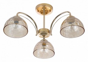 Люстра на штанге Rivoli Terri Б0060988 в Югорске - yugorsk.mebel24.online | фото 2