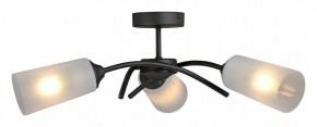 Люстра на штанге Vitaluce V2850 V2850-1/3PL в Югорске - yugorsk.mebel24.online | фото 3