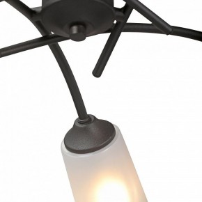 Люстра на штанге Vitaluce V2850 V2850-1/5PL в Югорске - yugorsk.mebel24.online | фото 6