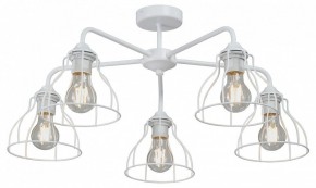 Люстра на штанге Vitaluce V3102 V3102-0/5PL в Югорске - yugorsk.mebel24.online | фото