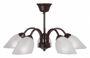 Люстра на штанге Vitaluce V3335 V3335-7/5PL в Югорске - yugorsk.mebel24.online | фото