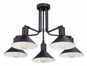 Люстра на штанге Vitaluce V4809 V4809-1/5PL в Югорске - yugorsk.mebel24.online | фото