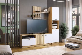 МОДИ Гостиная (модульная) белое дерево в Югорске - yugorsk.mebel24.online | фото