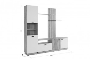 МОДИ Гостиная (модульная) белое дерево в Югорске - yugorsk.mebel24.online | фото 2