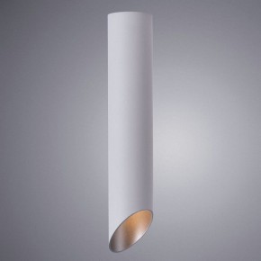 Накладной светильник Arte Lamp Pilon-Silver A1536PL-1WH в Югорске - yugorsk.mebel24.online | фото