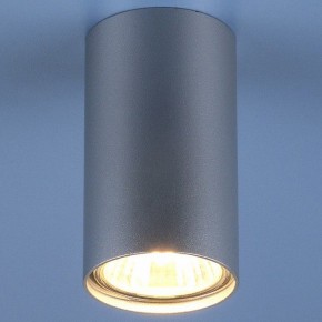 Накладной светильник Elektrostandard 1081 a037714 в Югорске - yugorsk.mebel24.online | фото