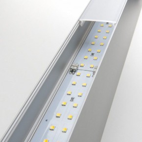 Накладной светильник Elektrostandard Grand a041480 в Югорске - yugorsk.mebel24.online | фото 2