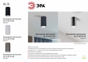 Накладной светильник Эра OL15 GU10 WH Б0049041 в Югорске - yugorsk.mebel24.online | фото 5