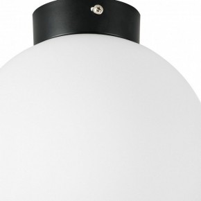 Накладной светильник Lightstar Globo 812027 в Югорске - yugorsk.mebel24.online | фото 2