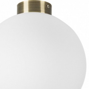 Накладной светильник Lightstar Globo 812031 в Югорске - yugorsk.mebel24.online | фото 3