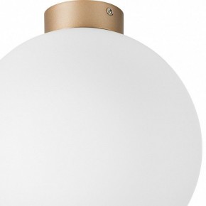Накладной светильник Lightstar Globo 812033 в Югорске - yugorsk.mebel24.online | фото 2