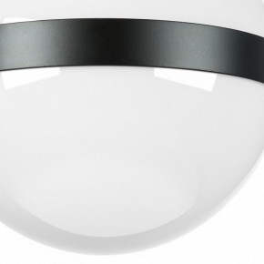 Накладной светильник Lightstar Globo 812117 в Югорске - yugorsk.mebel24.online | фото 3