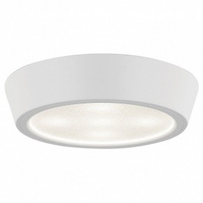 Накладной светильник Lightstar Urbano 214902 в Югорске - yugorsk.mebel24.online | фото