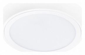 Накладной светильник Lightstar Urbano 216902 в Югорске - yugorsk.mebel24.online | фото 1