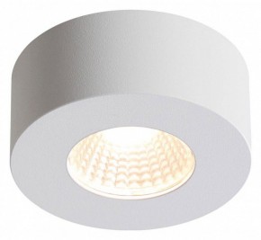 Накладной светильник Odeon Light Bene 4282/7CL в Югорске - yugorsk.mebel24.online | фото 2