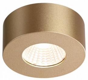 Накладной светильник Odeon Light Bene 4284/7CL в Югорске - yugorsk.mebel24.online | фото 4