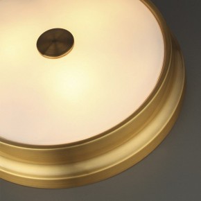 Накладной светильник Odeon Light Marsei 4824/4C в Югорске - yugorsk.mebel24.online | фото 5