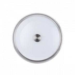 Накладной светильник Odeon Light Marsei 4825/3C в Югорске - yugorsk.mebel24.online | фото 2