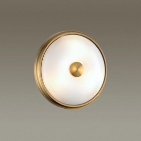Накладной светильник Odeon Light Pelow 4956/2 в Югорске - yugorsk.mebel24.online | фото 2