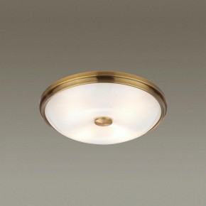 Накладной светильник Odeon Light Pelow 4956/4 в Югорске - yugorsk.mebel24.online | фото 2
