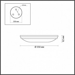 Накладной светильник Odeon Light Pelow 4956/4 в Югорске - yugorsk.mebel24.online | фото 3