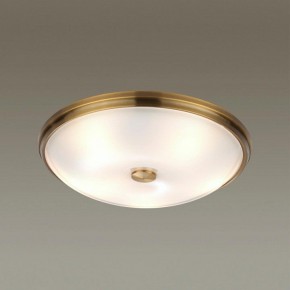 Накладной светильник Odeon Light Pelow 4956/5 в Югорске - yugorsk.mebel24.online | фото 2