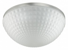 Накладной светильник Odeon Light Pirsa 4937/4C в Югорске - yugorsk.mebel24.online | фото 2