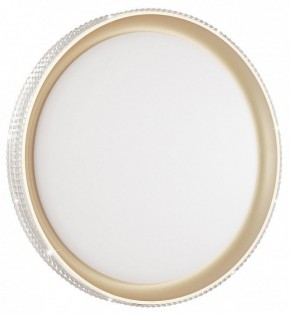 Накладной светильник Sonex Shiny 3054/DL в Югорске - yugorsk.mebel24.online | фото 2