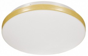Накладной светильник Sonex Smalli 3066/CL в Югорске - yugorsk.mebel24.online | фото 1