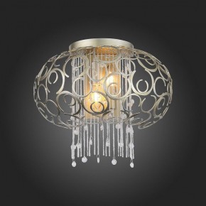 Накладной светильник ST-Luce Dolcima SL1101.201.02 в Югорске - yugorsk.mebel24.online | фото 4