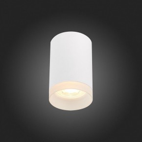 Накладной светильник ST-Luce ST100 ST100.502.01 в Югорске - yugorsk.mebel24.online | фото 4