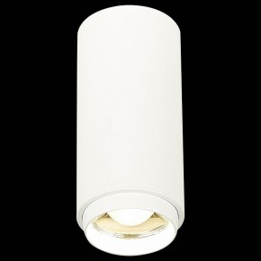 Накладной светильник ST-Luce Zoom ST600.542.10 в Югорске - yugorsk.mebel24.online | фото 3