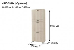 ШО-53 В тумба для обуви в Югорске - yugorsk.mebel24.online | фото 8