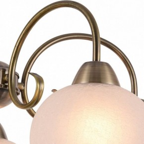 Подвесная люстра Arte Lamp Margo A9317LM-5AB в Югорске - yugorsk.mebel24.online | фото 3