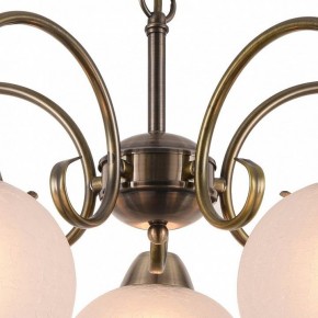Подвесная люстра Arte Lamp Margo A9317LM-5AB в Югорске - yugorsk.mebel24.online | фото 4