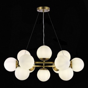 Подвесная люстра EVOLUCE Fratta SLE1191-203-12 в Югорске - yugorsk.mebel24.online | фото 4
