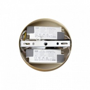 Подвесная люстра Lumion Parker 6564/60L в Югорске - yugorsk.mebel24.online | фото 6