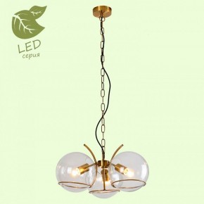 Подвесная люстра Lussole Anchorage GRLSP-9556 в Югорске - yugorsk.mebel24.online | фото 3