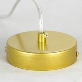 Подвесная люстра Lussole Downey LSP-8804 в Югорске - yugorsk.mebel24.online | фото 6