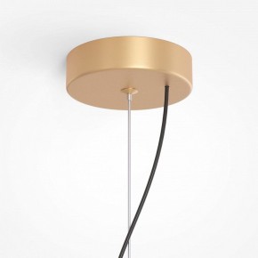 Подвесная люстра Maytoni Reels MOD268PL-03G в Югорске - yugorsk.mebel24.online | фото 5