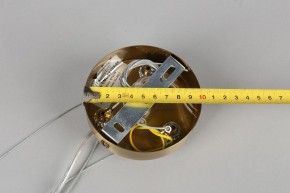 Подвесная люстра Omnilux Ales OML-69103-06 в Югорске - yugorsk.mebel24.online | фото 11