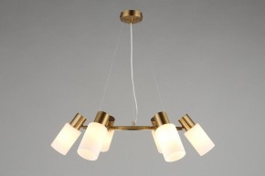 Подвесная люстра Omnilux Ales OML-69103-06 в Югорске - yugorsk.mebel24.online | фото 4