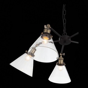Подвесная люстра ST-Luce Evoluto SL237.413.05 в Югорске - yugorsk.mebel24.online | фото 7