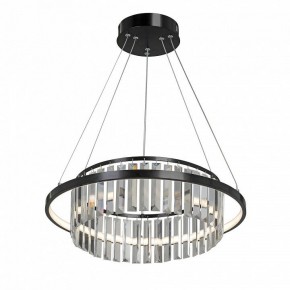 Подвесная люстра Vitaluce V54010 V54010-1/1S в Югорске - yugorsk.mebel24.online | фото