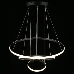 Подвесной светильник Aployt Janina APL.018.03.60 в Югорске - yugorsk.mebel24.online | фото 12