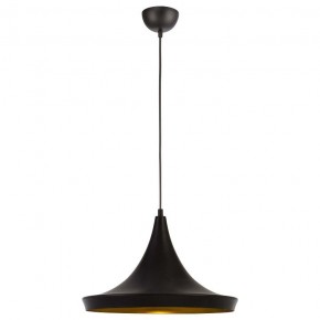 Подвесной светильник Arte Lamp Capello A3406SP-1BK в Югорске - yugorsk.mebel24.online | фото 2