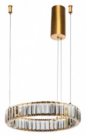 Подвесной светильник Divinare Renata 1135/17 SP-25 в Югорске - yugorsk.mebel24.online | фото 2