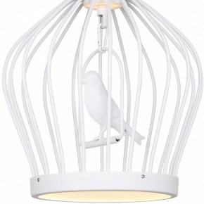 Подвесной светильник Favourite Chick 1931-2P в Югорске - yugorsk.mebel24.online | фото 3