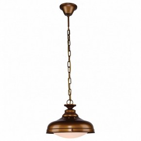 Подвесной светильник Favourite Laterne 1330-1P1 в Югорске - yugorsk.mebel24.online | фото 2