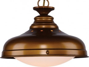 Подвесной светильник Favourite Laterne 1330-1P1 в Югорске - yugorsk.mebel24.online | фото 3
